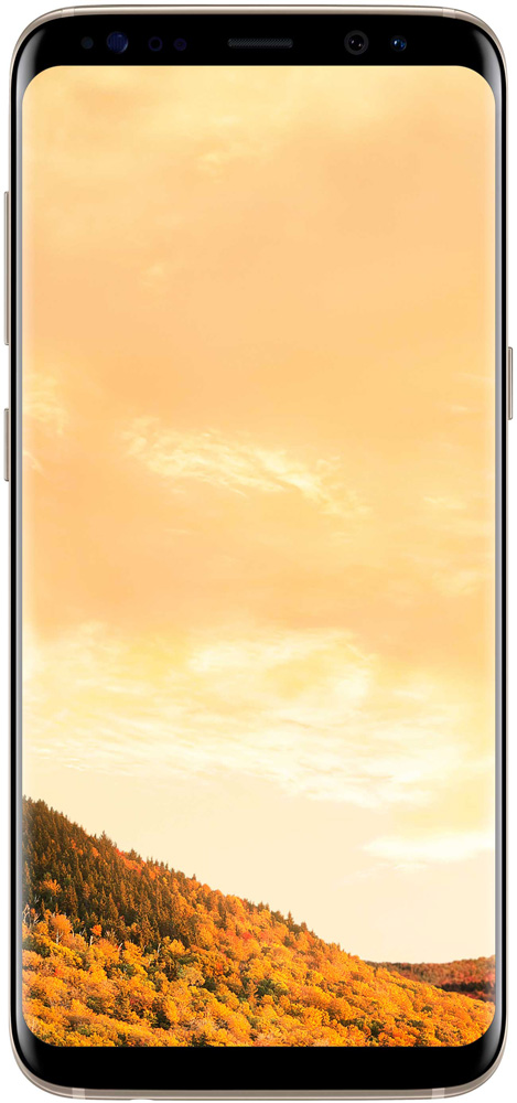 

Смартфон Samsung, Galaxy S8 Gold