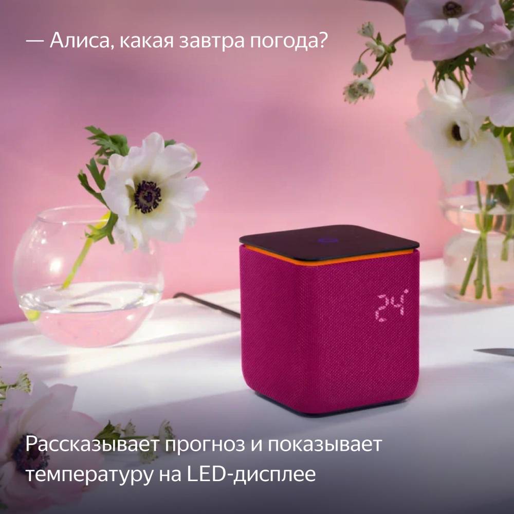 Умная колонка Яндекс Станция Миди с Zigbee Малиновая 3100-2178 YNDX-00054PNK - фото 10