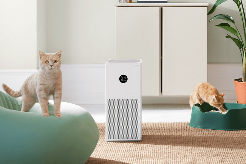 Xiaomi purifier 4 compact отзывы. Xiaomi Smart Air Purifier 4. Очиститель воздуха Xiaomi Smart Air Purifier 4 Lite. Xiaomi Air Purifier 4 Lite. Очиститель воздуха Xiaomi mi Smart Air Purifier 4 Lite.